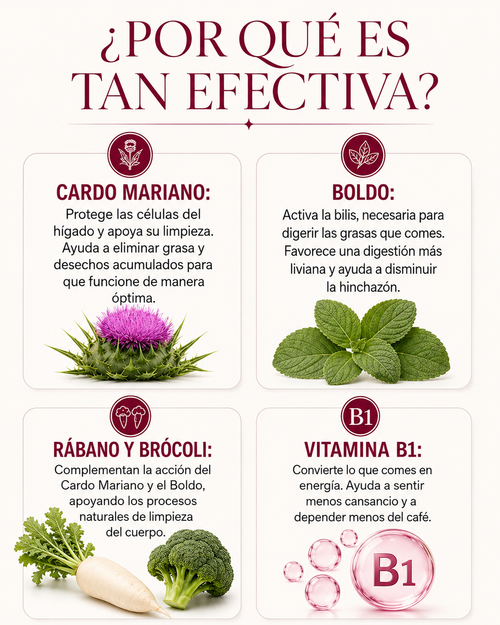 Aurea Nativa - Tu aliado Para Adelgazar, Recupera tu figura y Equilibro Hormonal.